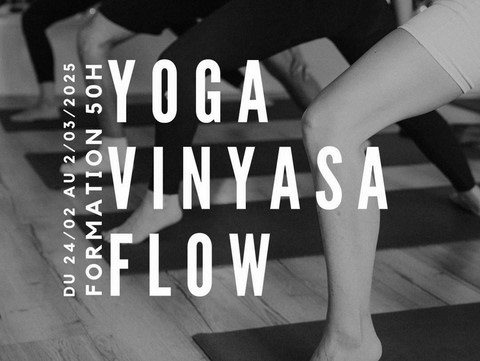 formation yoga vinyasa tarbes studio pauza